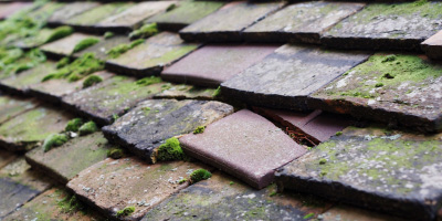 Green End roof repair costs